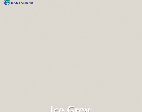 melamine-faced-panel-castamonu-ice-grey-d217